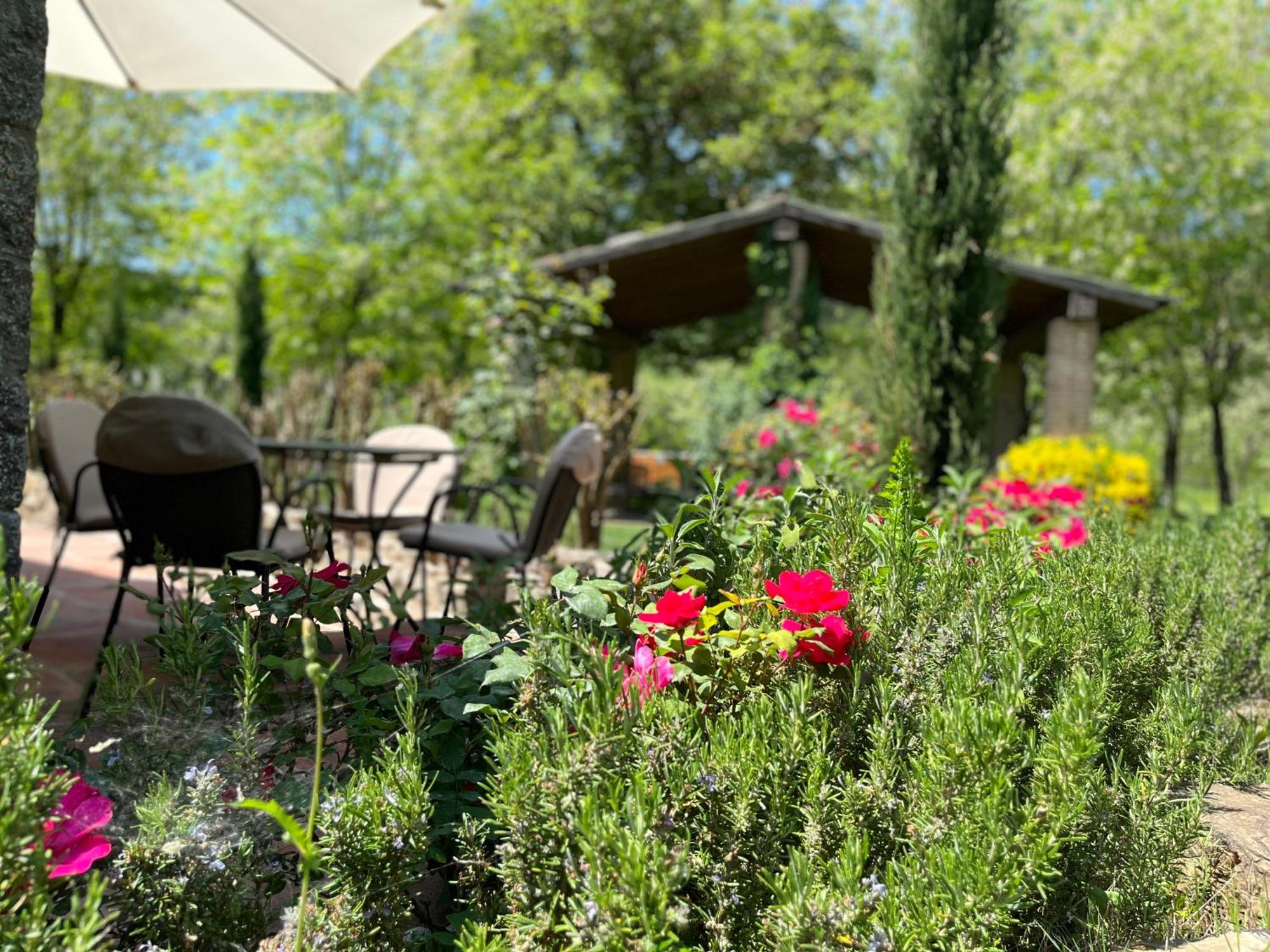 Mulino In Chianti Apartman Gaiole in Chianti Kültér fotó