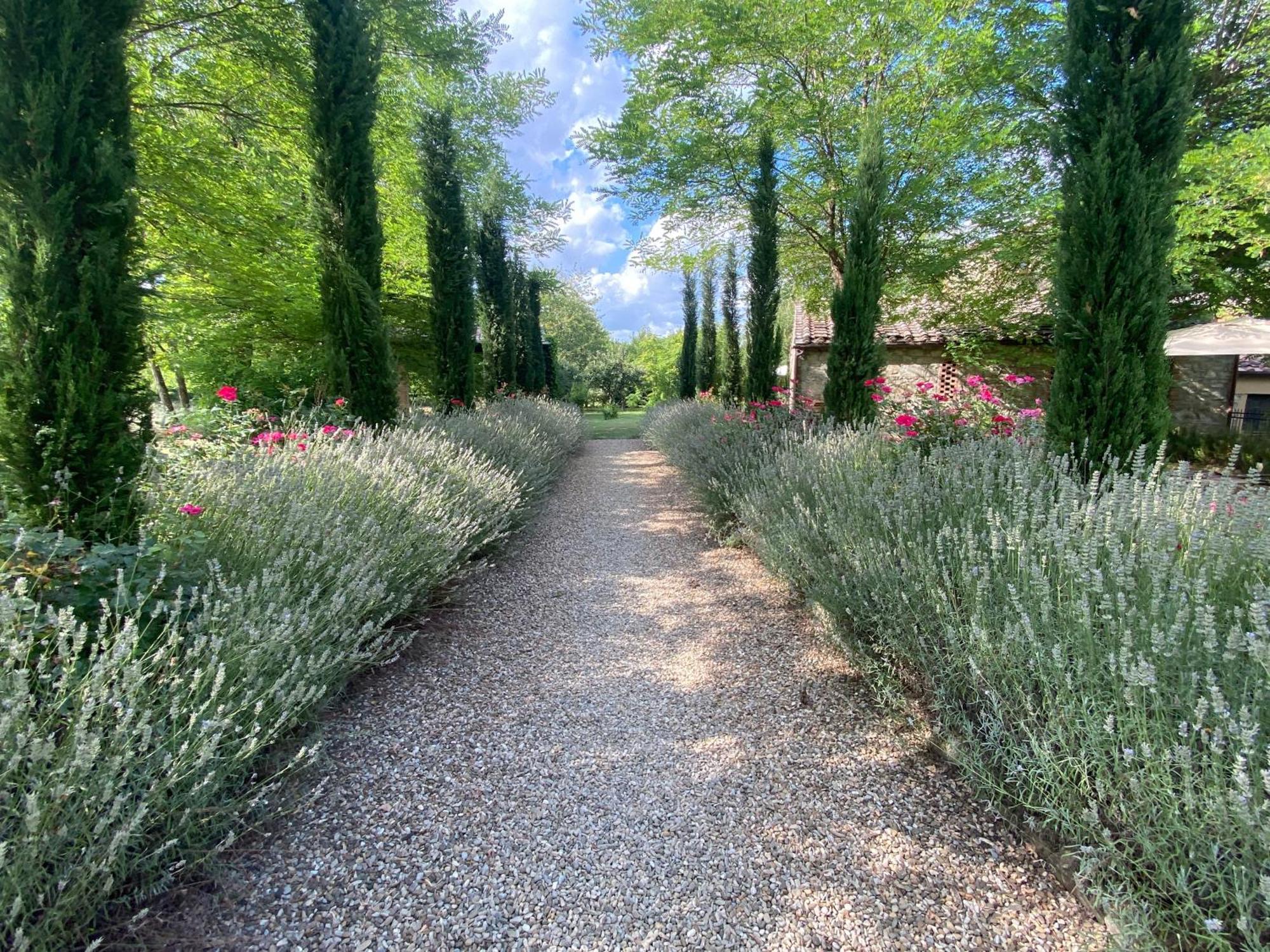 Mulino In Chianti Apartman Gaiole in Chianti Kültér fotó